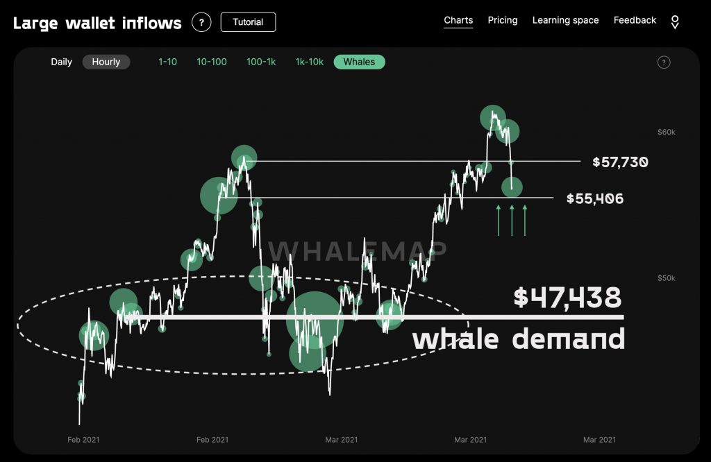Why it’s important to watch Bitcoin whales, more often than you do